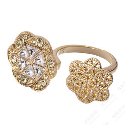 atelier swarovski携手叶明子打造其首饰系列7192071 时尚频道图片库 大视野 