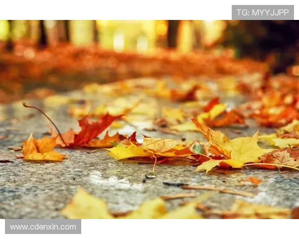 少女小渔的13次心动，《落叶》中的她，爱得那么卑微