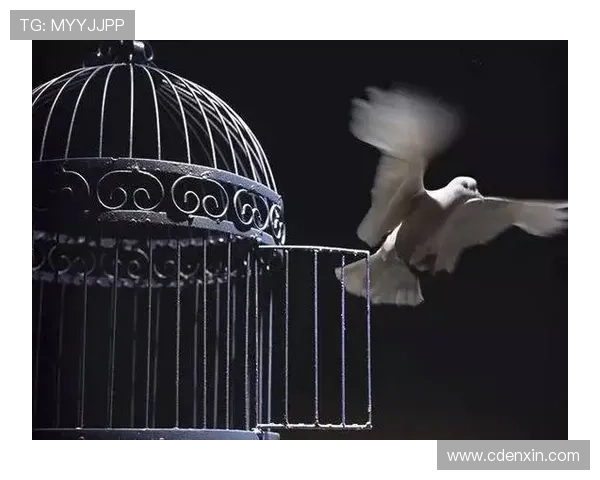 挣脱樊笼，定义自我：边缘青年的闪光与新生